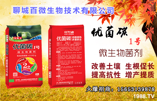 ��Ԫ����ʲô����������ȱ����ʲô�����ʲô�r���a����