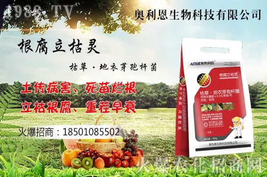 �S����ʲô����(ji��)���࣬�S���˷Nֲ������B��