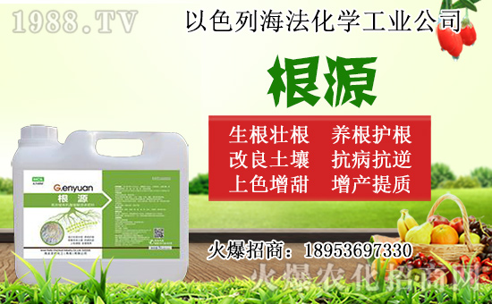 �o������ôǤ�����o����Ǥ��r�g��Ǥ�己ֳ������