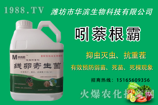 �o�����NֲʲôƷ�N�^�����o����Ƥ���ԳԆ����Nֲǰ��������