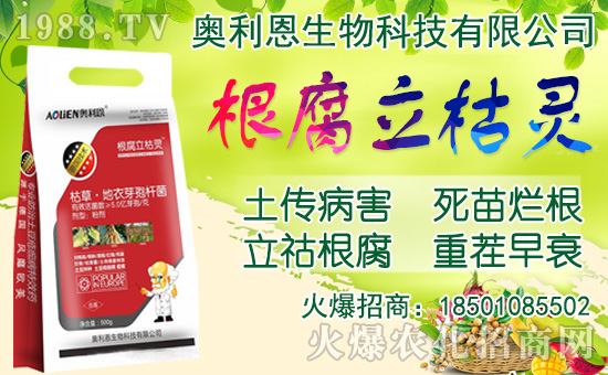 ���[���ʩ�������[�Nֲ���������N�r(sh��)�g��