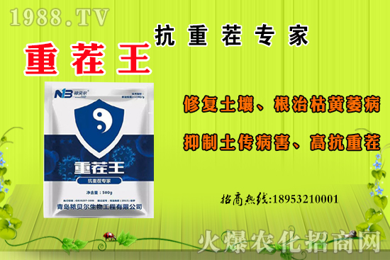 ɽ��ʲô����(ji��)������ɽ�����Ҫ�a(ch��n)���������ôʳ����