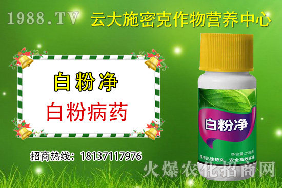 ʲô��ֲ��Դ�r(n��ng)ˎ��ֲ��Դ�r(n��ng)ˎ�c���W(xu��)�r(n��ng)ˎ�^(q��)�e������