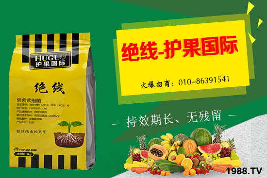 �Ә����L(zh��ng)�l������Щ���Ә�����������g(sh��)��