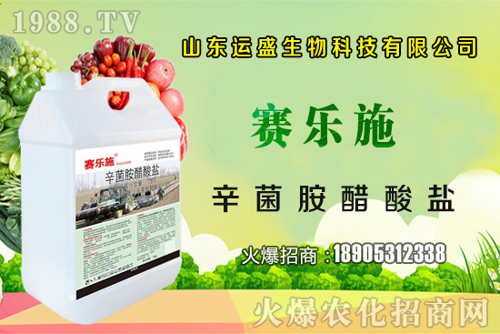 �����Ә���ڷ۷����������Ә���ζ�������