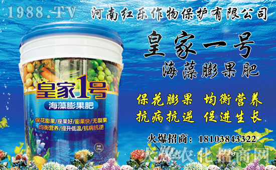 �����a����Ҫ���ģ������r������Xһ�����Nֲǰ����Ч�������