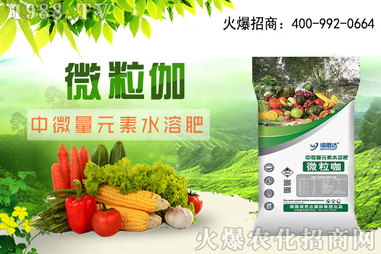 ����ԓ��ô��������������r(sh��)�g������ע��Ҫ�c(di��n)��