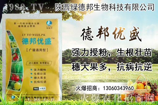 �����r������Xһ���������Nֲ�ĭh(hu��n)�������x������