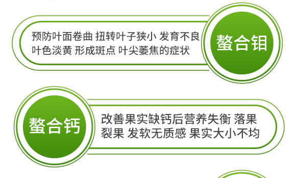 海藻十二元素-邦扶民-英爾果_10