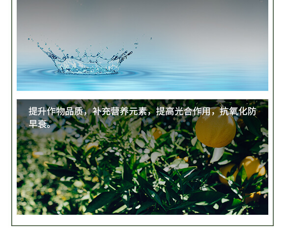 ����Ԫ��ˮ�ܷ���-�Ǵ��}�V-Ӣ����_07