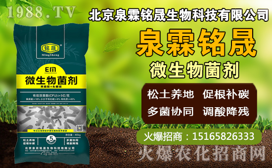 â��ʲô�r(sh��)�g�Nֲ��â���Nֲ��������ˮ�r(sh��)����