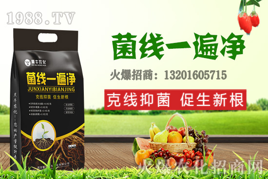 9��19��С���r��������q�����F(xi��n)��