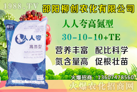 ���y��������ô�N�����y������Nֲ���g�����g������