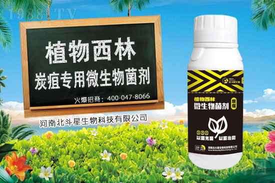 2021��1��19�������\�r(n��ng)ˎ�������r(ji��)��