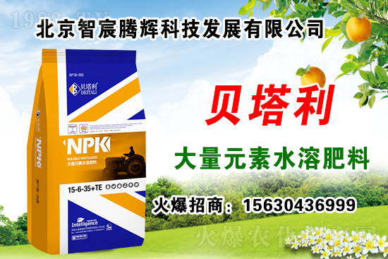 2020��Nʲôˎ����ٍ�X���Nֲˎ�����a(b��)�N�᣿��Щˎ���зNֲǰ����