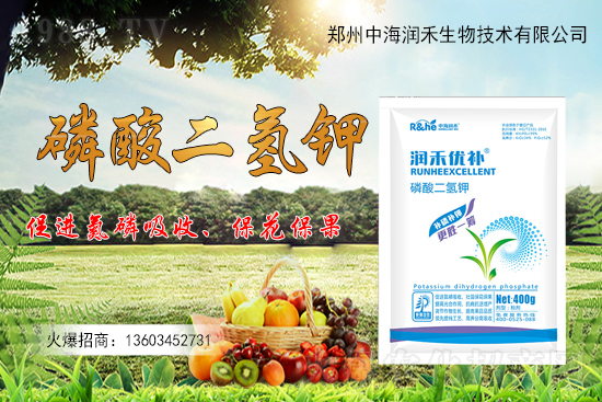 ����һ���굽��ԓ��ôʩ��������ʩ��ע�����(xi��ng)����Щ��