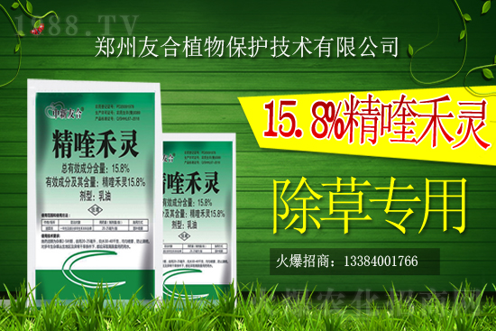 ���@좳��݄��r���߄�2021.2.25