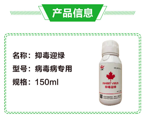 抑毒迎綠(專治病毒。-綠肥_02