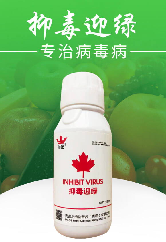 抑毒迎綠(專治病毒病)-綠肥_01