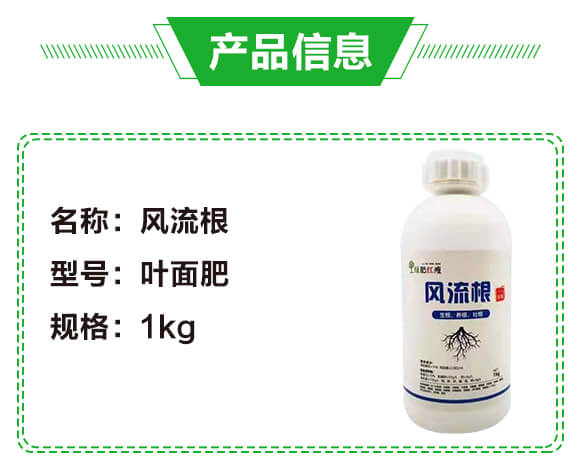 �L�����������B(y��ng)���Ѹ���-�G��_02