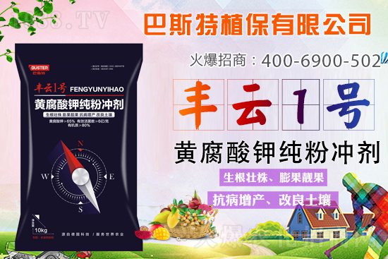 ������Y(ji��)/�}�n��/�ữ�y��Q�������S����⛼��ۄ���