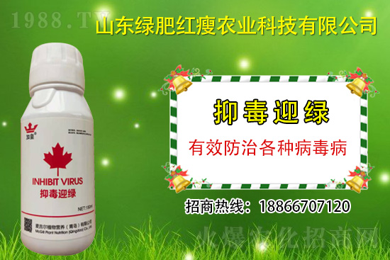 ���β�������Ҳ���ð������ֶ�ӭ�G�����β�������