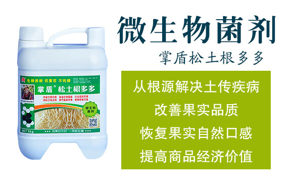 ΢�������-�ƶ����������-�����__02