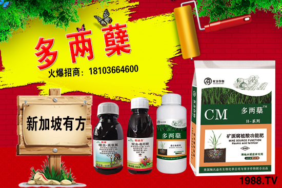 2021�����ַNֲǰ����Σ������ֺ���ͨ�����к΅^(q��)�e��