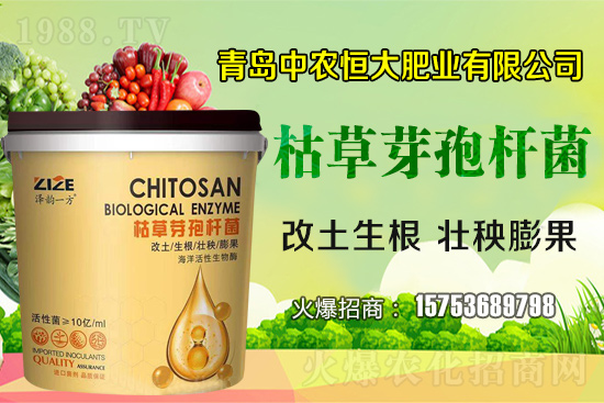 �ݲ�ѿ�ߗU������ǡ����С������ݲ�ѿ�ߗU�����w�������˽����