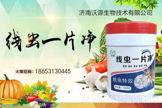 ���Y(ji��)���x�y���������ξ��x�����xһƬ����