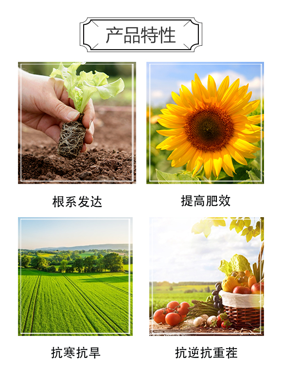 ��ɫ�к������Q(����)���޹�˾1_03