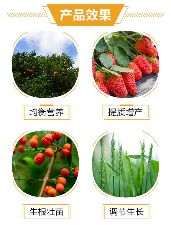 �o�����H1_03