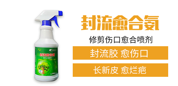 ����һ���r(n��ng)�I(y��)�Ƽ����޹�˾_02