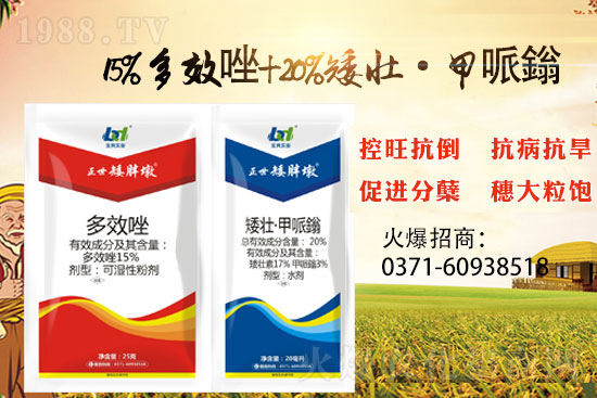 С����ǰ���L�a(ch��n)���pʧ����С���������x���������ֶա���