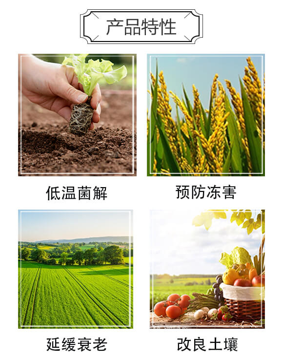 魚(yú)蛋白有機(jī)水溶肥料-多寶魚(yú)-歐格納科_03