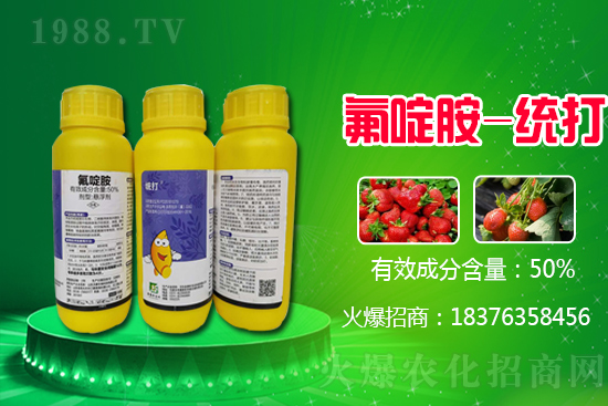 2021��2��5��ɽ�|���[�r(ji��)������