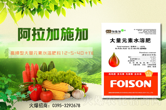 2��6��ȫ��С����r��С���r��ͻ��1.57Ԫ/��