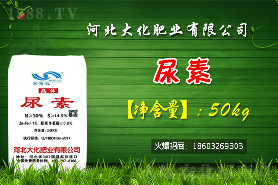 �t��������������Xһ�����Nֲǰ����Σ�