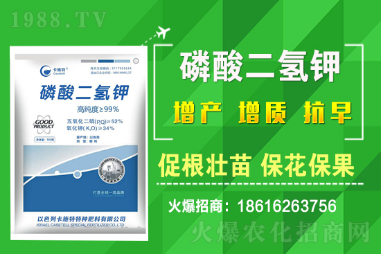 ���˷Nֲ��Ҫע����Щ���}�����˷Nֲԓ��ôʩ����