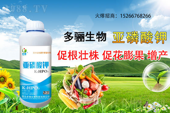 3�·��m�ϷNֲʲôˎ������Щˎ�ķNֲǰ������ٍ�X