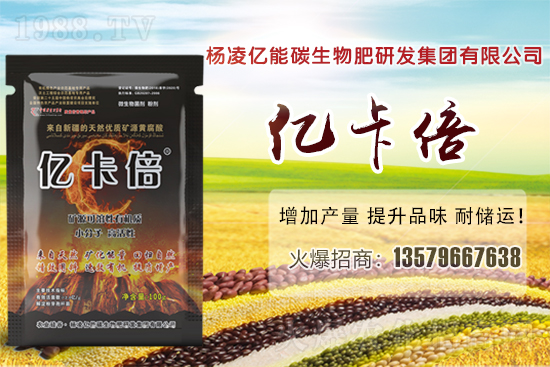 ���}�ۮa(ch��n)�����҇�(gu��)��Щʡ�������}������Щ��Ҋ(ji��n)Ʒ�N��