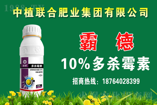 ����ù��