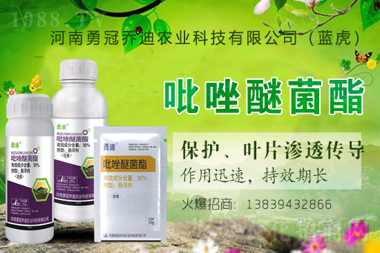 �����������¹چ̵ϣ��{�����ٺ�1988.TV������(chu��ng)���x�ͣ�