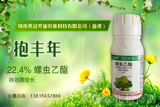 �����������¹چ̵ϣ��{�����ٺ�1988.TV������(chu��ng)���x����