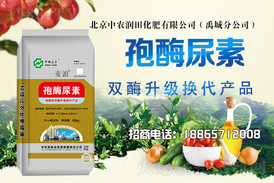 ��������������2021��6��21�������Ј������߄�