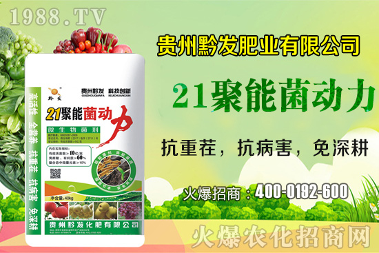 ǭ�l(f��)�ʘI(y��)�ٶȔy��1988.TV���y�ִ����������E��