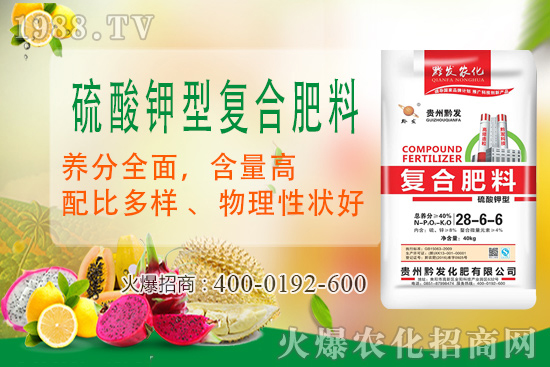 ǭ�l(f��)�ʘI(y��)�ٶȔy��1988.TV���y�ִ����������E��