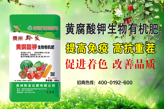 ǭ�l(f��)�ʘI(y��)�ٶȔy��1988.TV���y�ִ����������E��