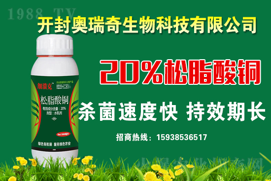 �W��������𱬁��u���y��1988.TV�_���W(w��ng)�j(lu��)������������