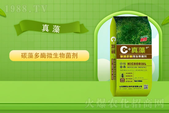 2021��8��19�ո�����݄��r(ji��)�����(b��o)